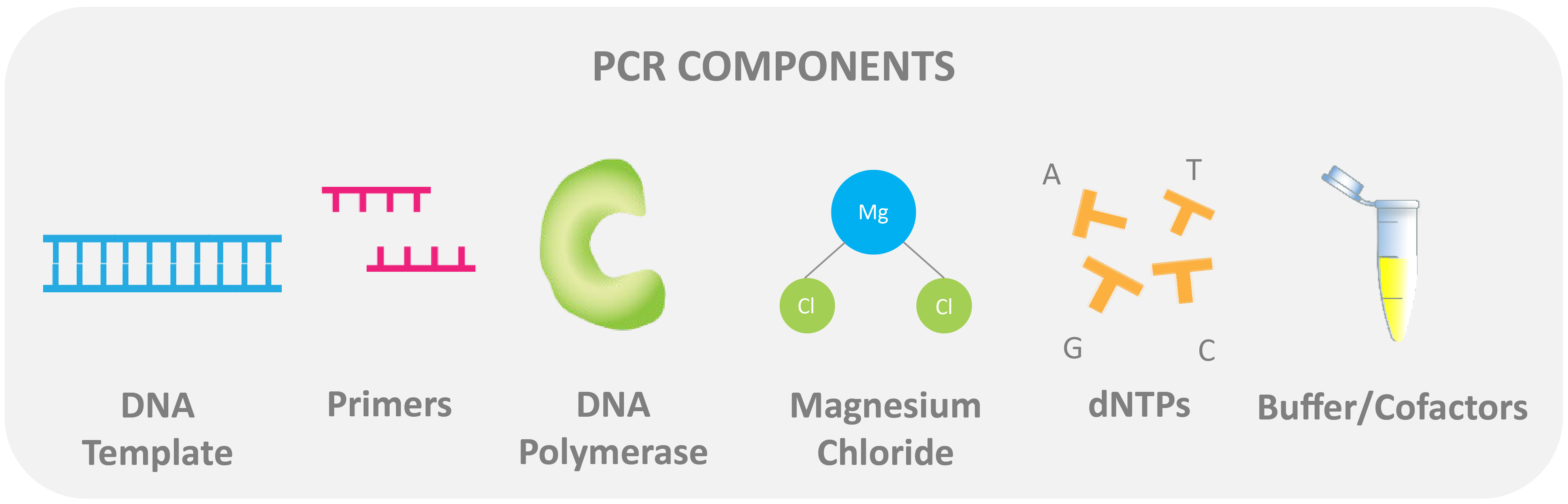 Overview About How To Do RTqPCR GoldBio